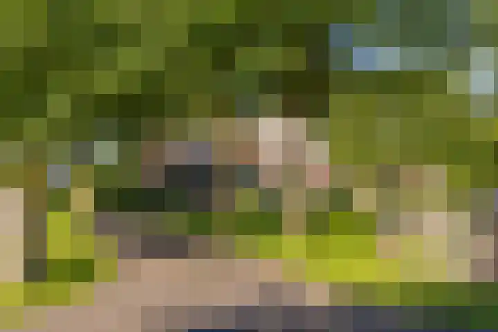 Schapendijk 7 Holten thumbnail 57