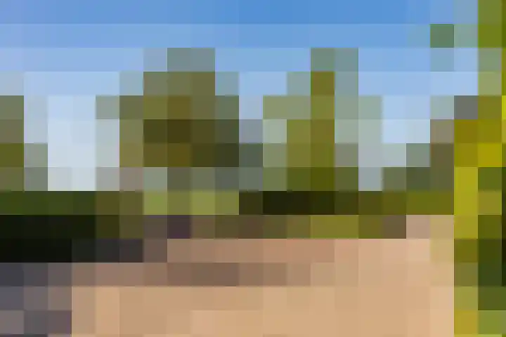 Schapendijk 7 Holten thumbnail 59