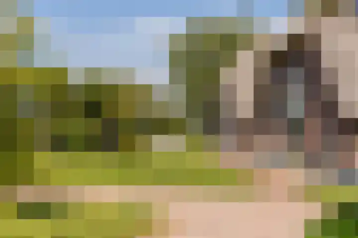 Schapendijk 7 Holten thumbnail 67