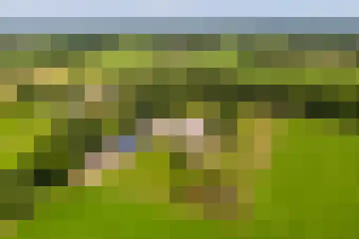 Schapendijk 7 Holten thumbnail 68