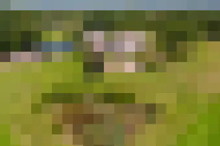 Schapendijk 7 Holten thumbnail 69