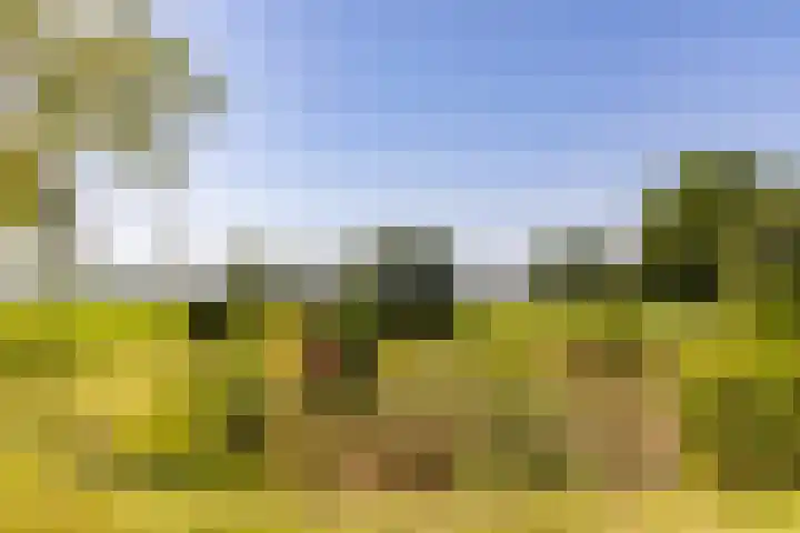 Schapendijk 7 Holten thumbnail 73