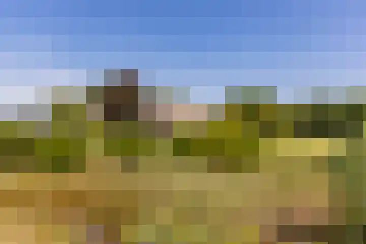 Schapendijk 7 Holten thumbnail 74