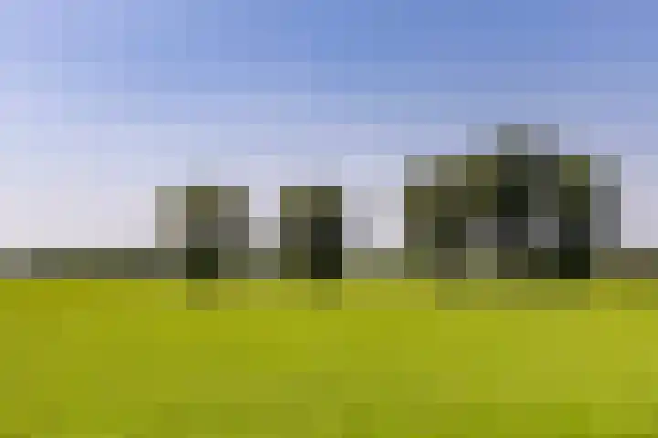 Schapendijk 7 Holten thumbnail 76