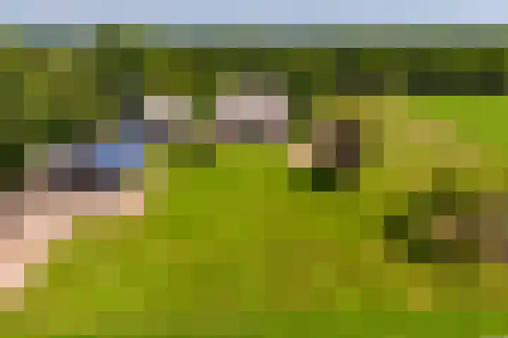Schapendijk 7 Holten thumbnail 77