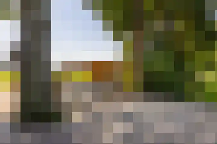 Schapendijk 7 Holten thumbnail 78