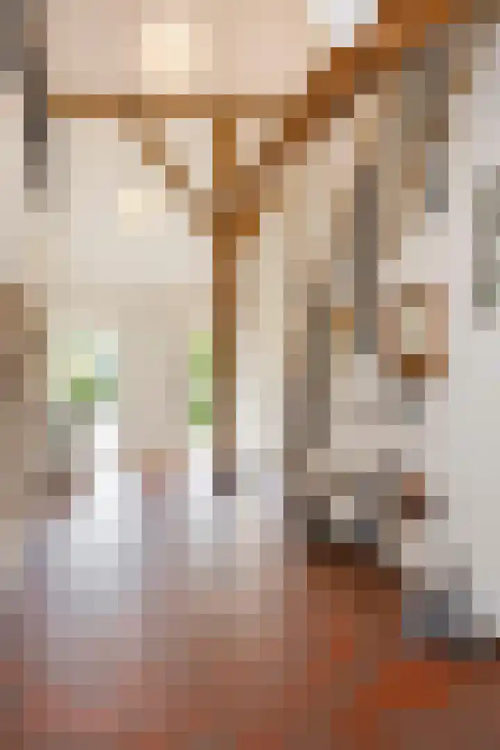 Schapendijk 7 Holten thumbnail 8