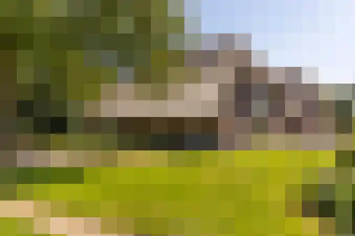 Schapendijk 7 Holten thumbnail 80