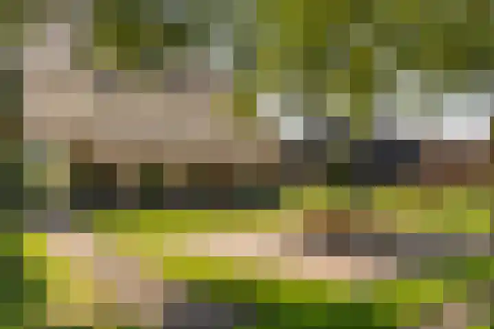 Schapendijk 7 Holten thumbnail 81
