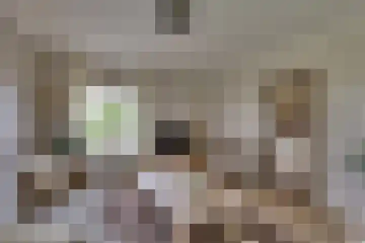Schapendijk 7 Wierden thumbnail 10