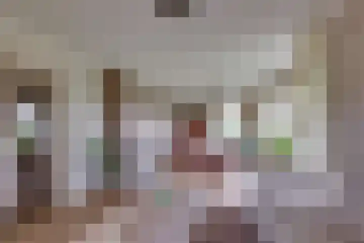 Schapendijk 7 Wierden thumbnail 11