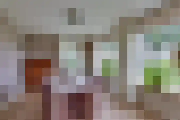 Schapendijk 7 Wierden thumbnail 12