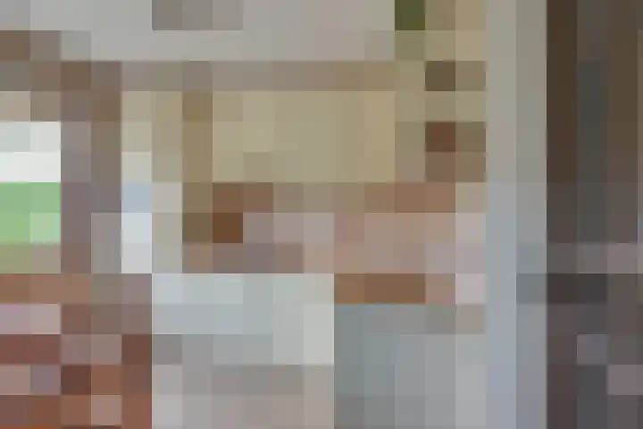 Schapendijk 7 Wierden thumbnail 13