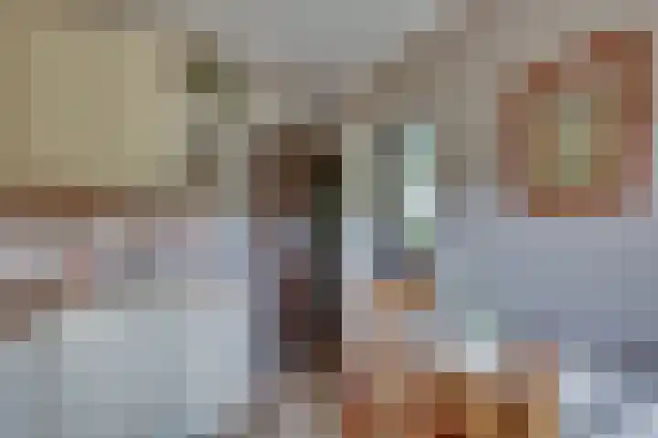 Schapendijk 7 Wierden thumbnail 15