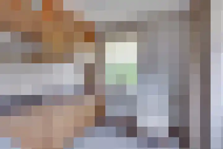 Schapendijk 7 Wierden thumbnail 18