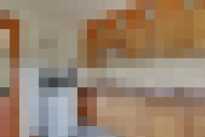 Schapendijk 7 Wierden thumbnail 19