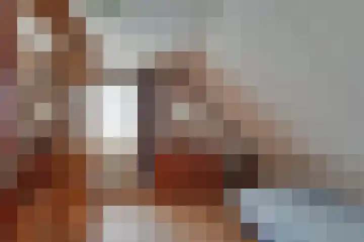 Schapendijk 7 Wierden thumbnail 21