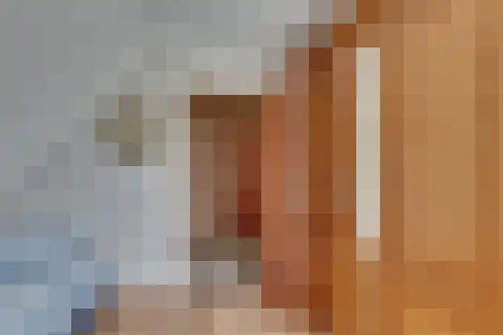 Schapendijk 7 Wierden thumbnail 22