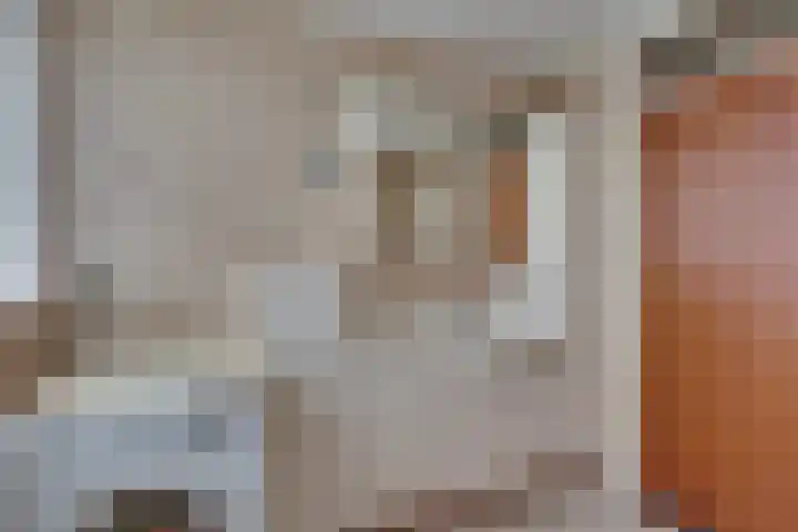 Schapendijk 7 Wierden thumbnail 26