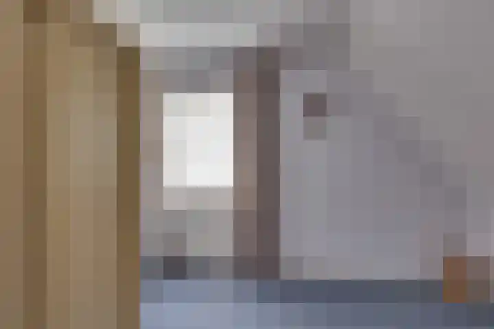 Schapendijk 7 Wierden thumbnail 28