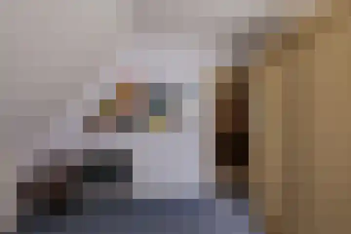 Schapendijk 7 Wierden thumbnail 29