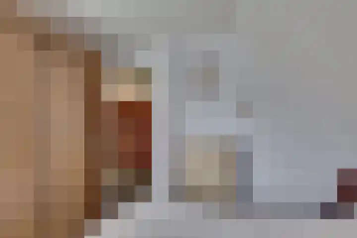Schapendijk 7 Wierden thumbnail 31