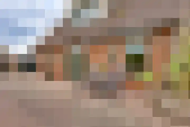 Schapendijk 7 Wierden thumbnail 32