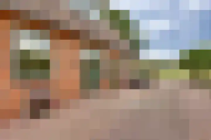 Schapendijk 7 Wierden thumbnail 33