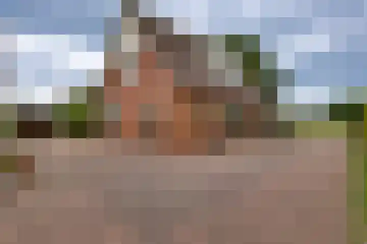 Schapendijk 7 Wierden thumbnail 36