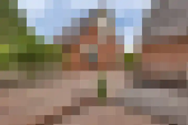 Schapendijk 7 Wierden thumbnail 37
