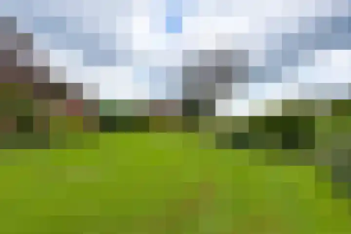 Schapendijk 7 Wierden thumbnail 38