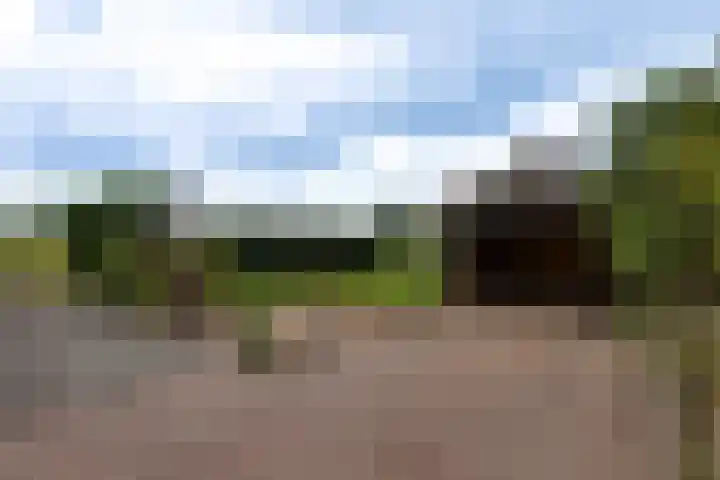 Schapendijk 7 Wierden thumbnail 40