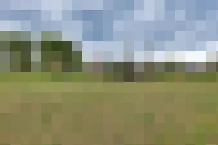 Schapendijk 7 Wierden thumbnail 42