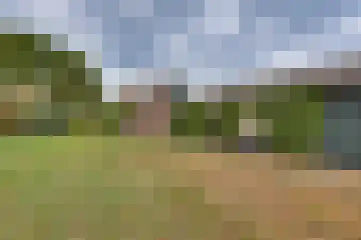 Schapendijk 7 Wierden thumbnail 43