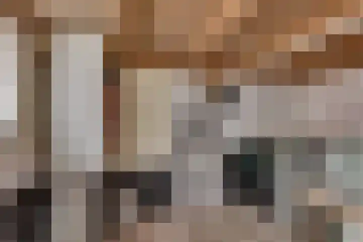 Schapendijk 7 Wierden thumbnail 44