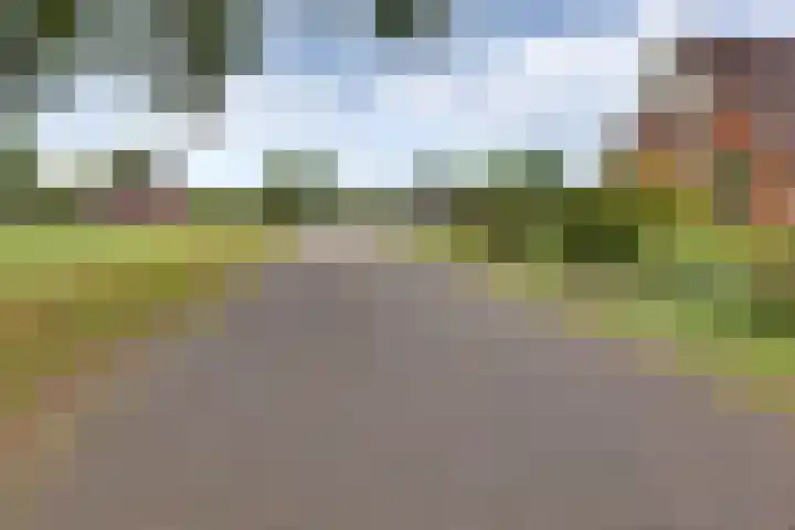 Schapendijk 7 Wierden thumbnail 47