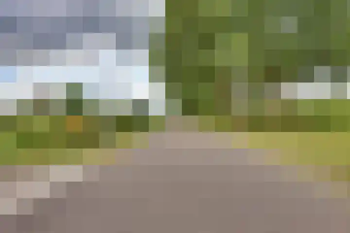 Schapendijk 7 Wierden thumbnail 48