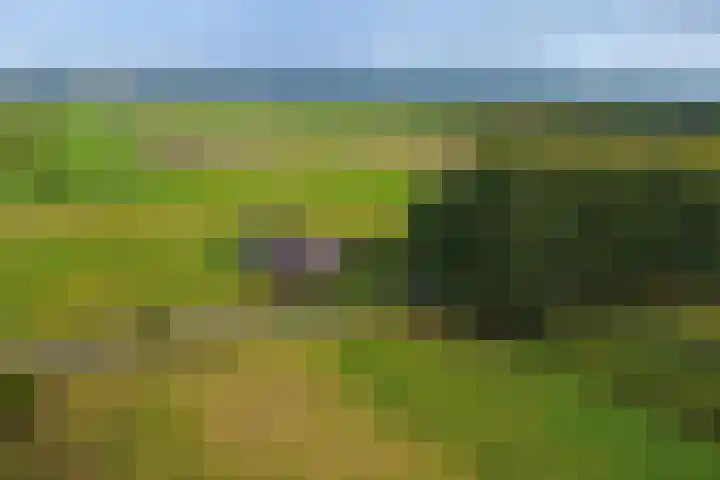 Schapendijk 7 Wierden thumbnail 49