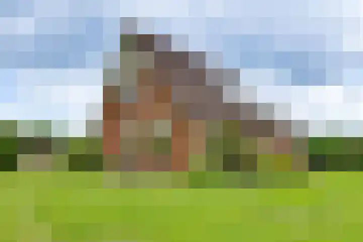 Schapendijk 7 Wierden thumbnail 6