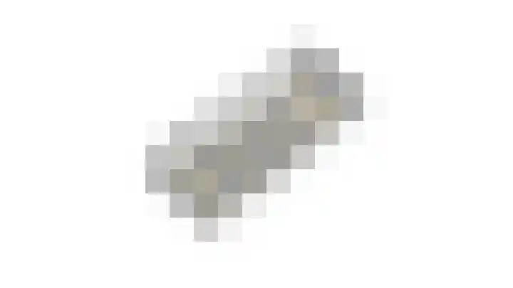 Schapendijk 7 Wierden thumbnail 63
