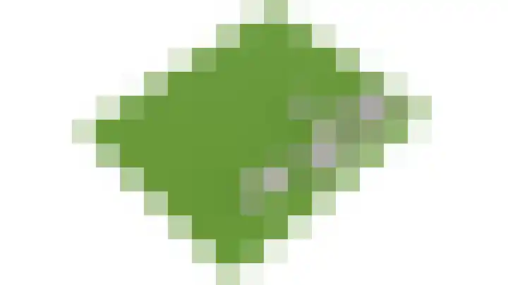 Schapendijk 7 Wierden thumbnail 69