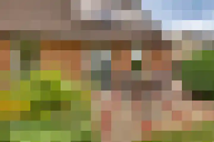 Schapendijk 7 Wierden thumbnail 7
