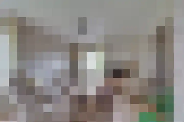 Schapendijk 7 Wierden thumbnail 9