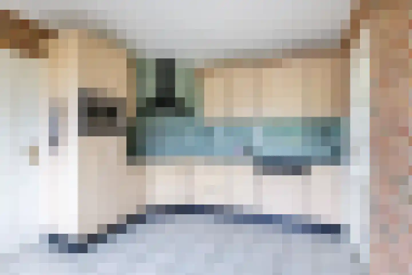 Schapendijk 8 Den Ham thumbnail 12