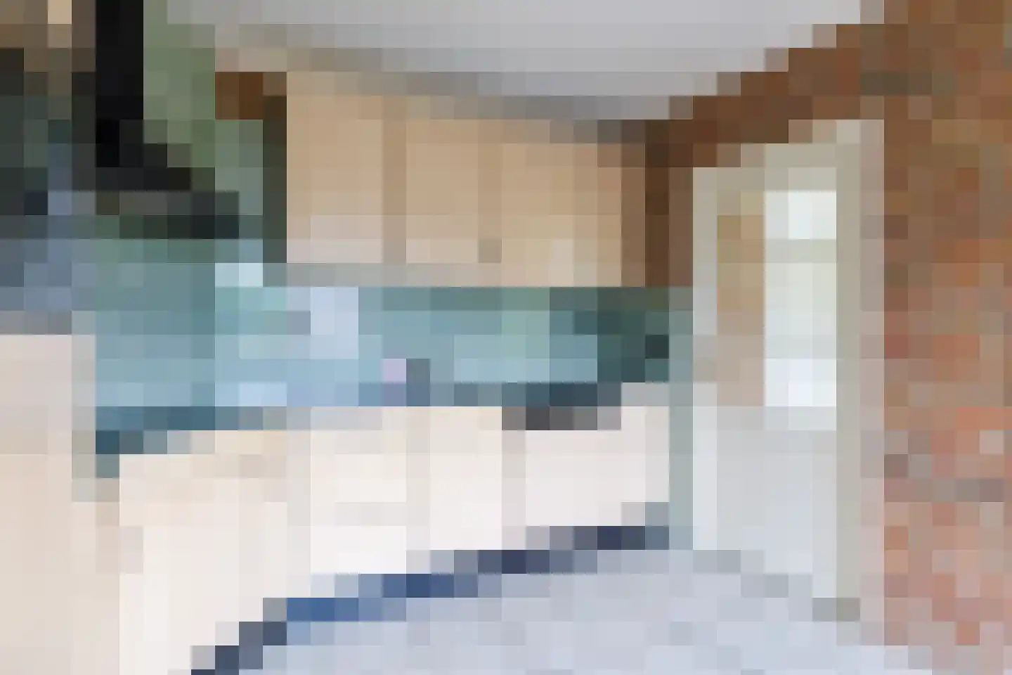 Schapendijk 8 Den Ham thumbnail 13