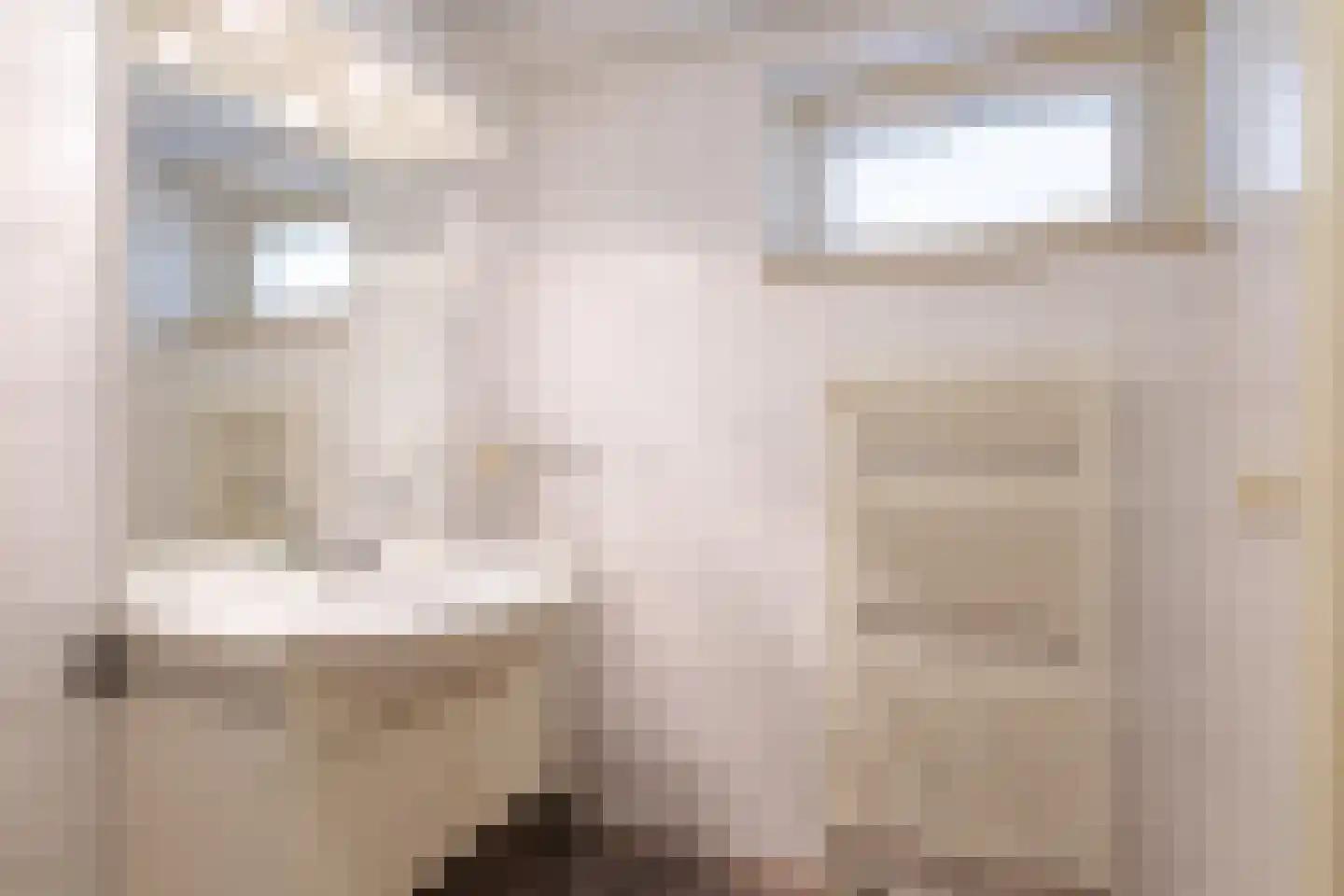 Schapendijk 8 Den Ham thumbnail 19