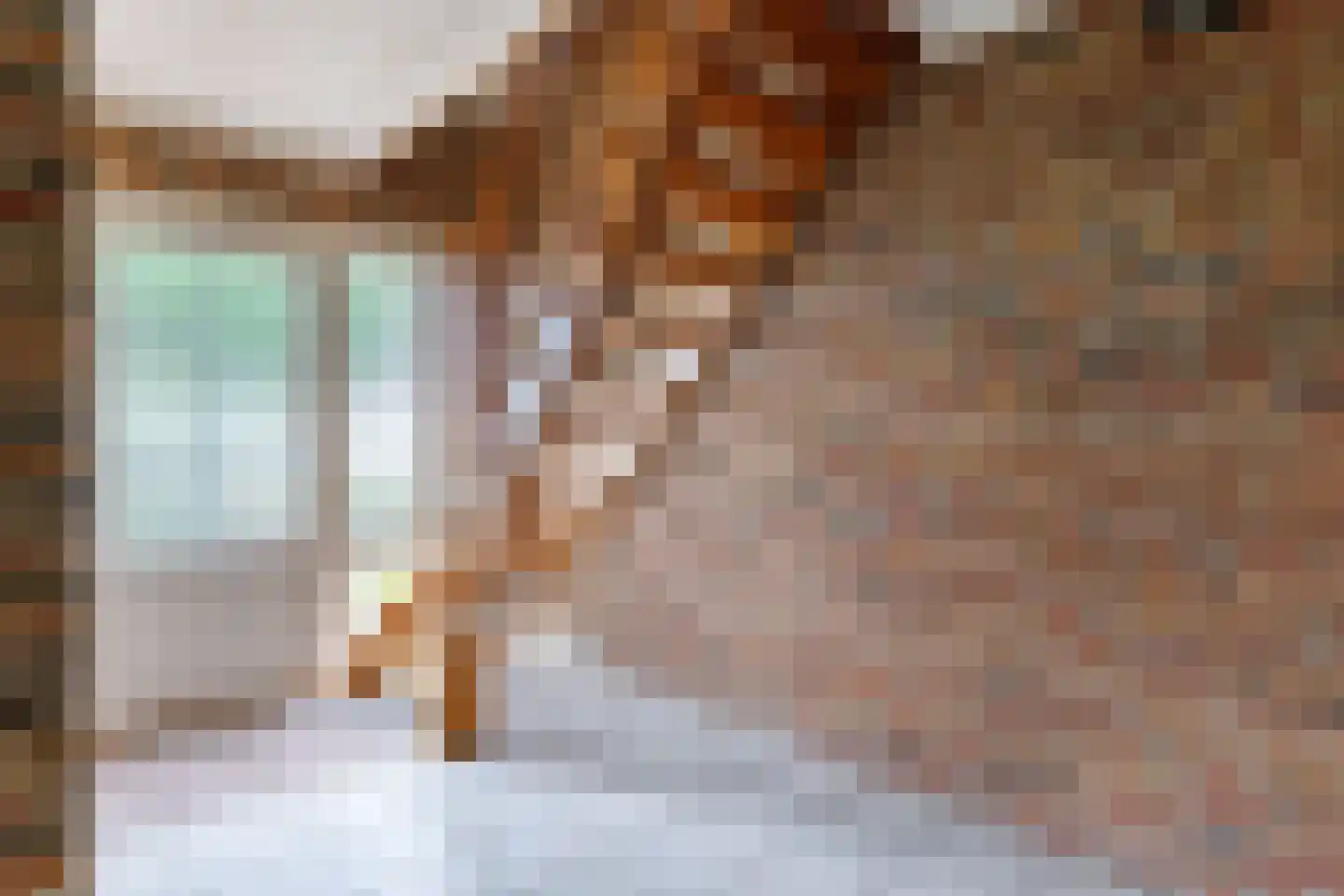 Schapendijk 8 Den Ham thumbnail 21