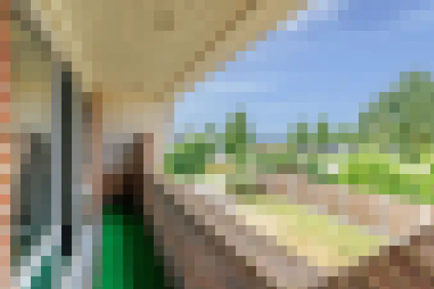 Schapendijk 8 Den Ham thumbnail 24