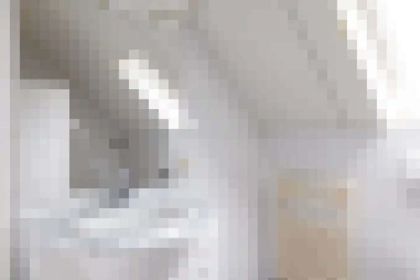 Schapendijk 8 Den Ham thumbnail 25