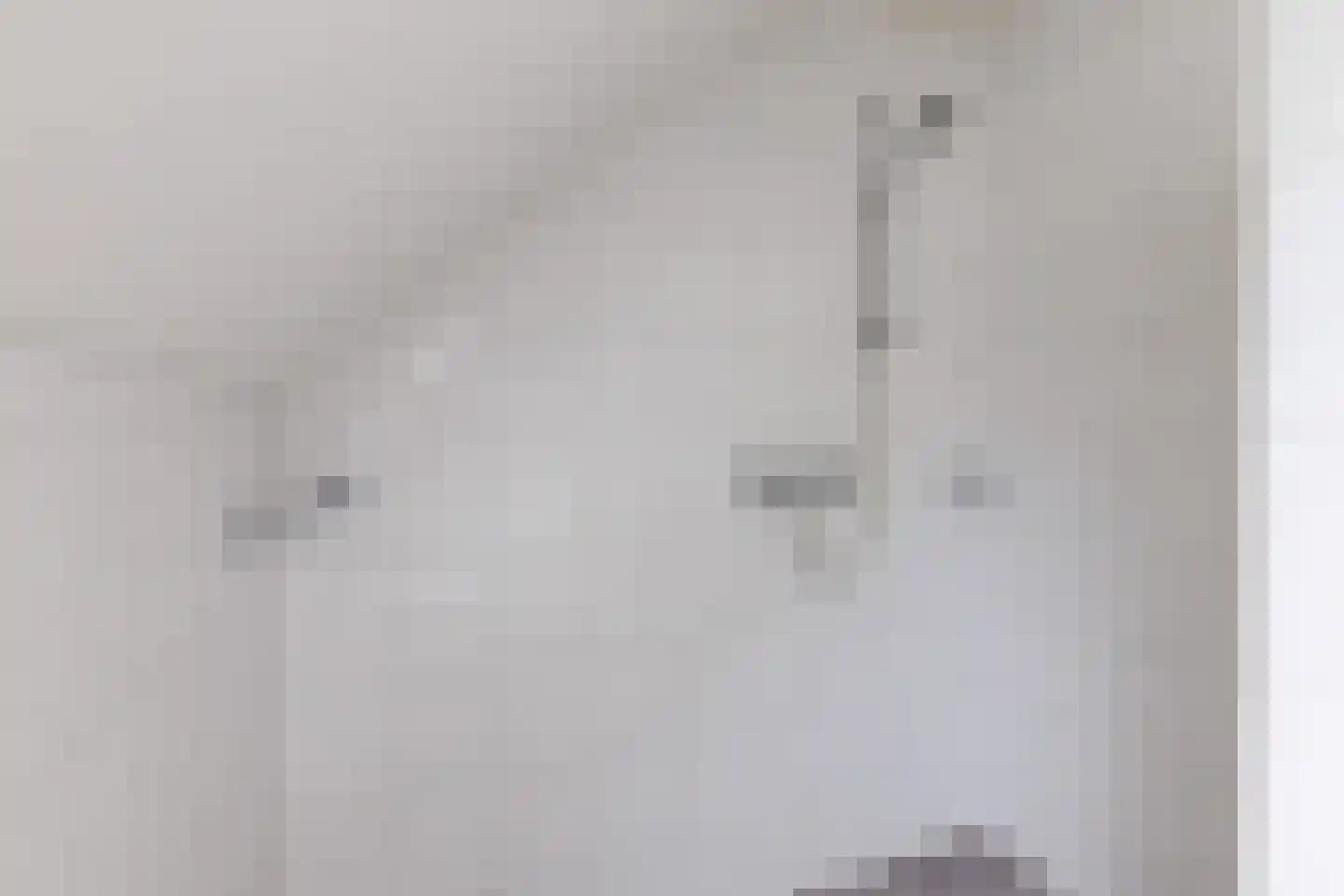 Schapendijk 8 Den Ham thumbnail 27
